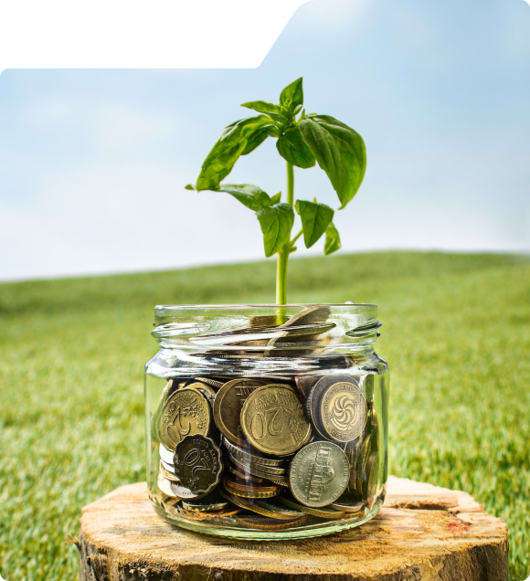 About Our Forex Company